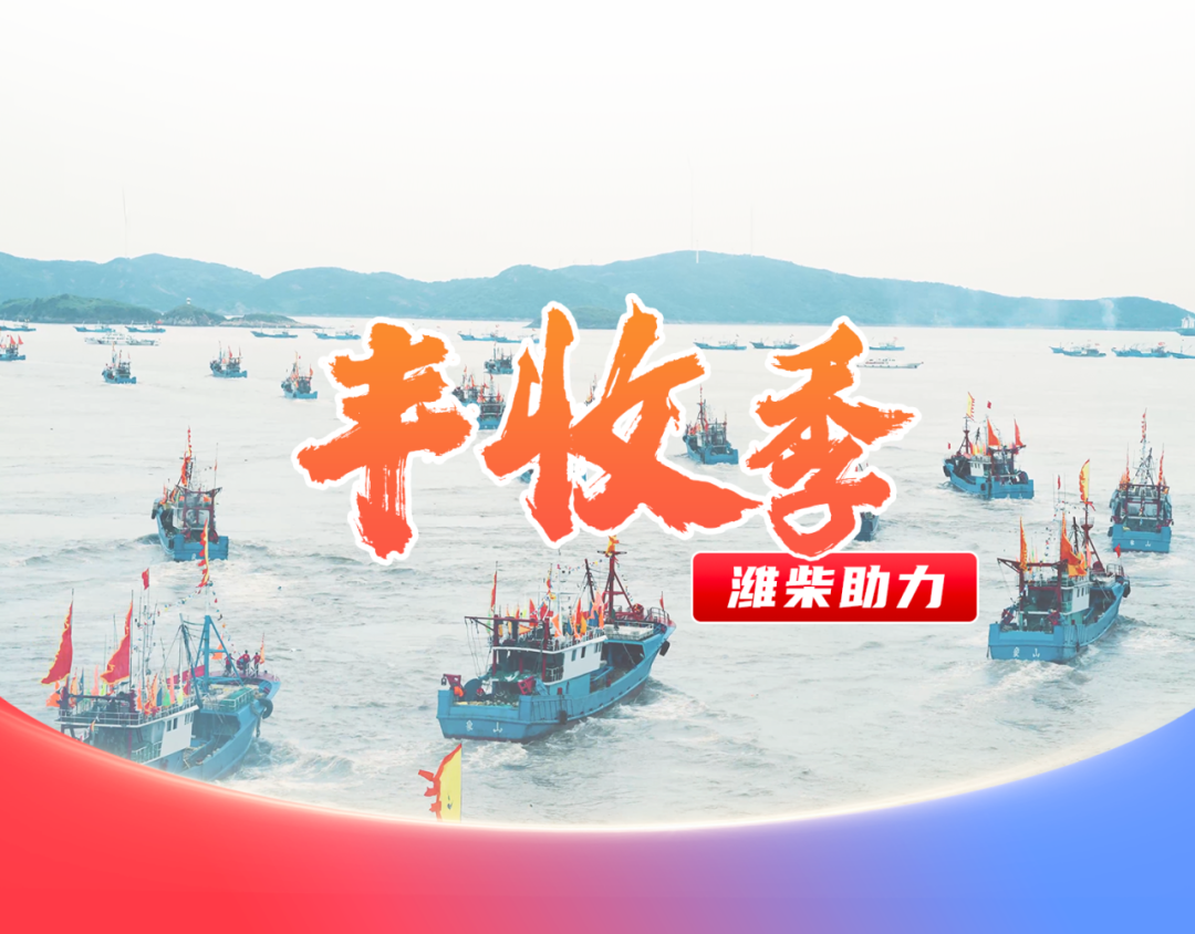 图片31.png